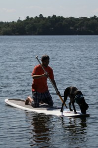 The author out for a paddle with Morton the dog